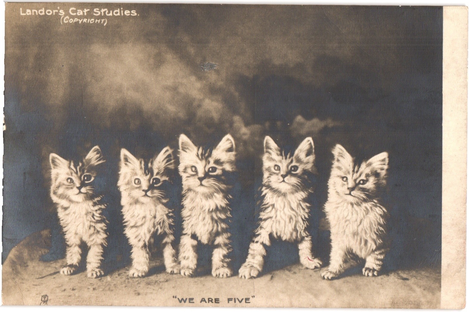 “We Are Five” — Five Kittens Real Photo Postcard by Raphael Tuck, Landor’s Cat Studies (Series 5093)